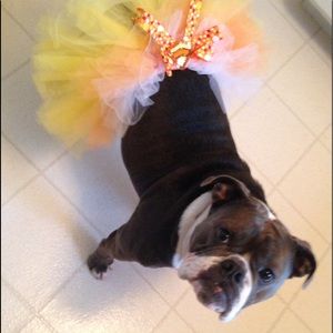 Meet your Posher, Heidi